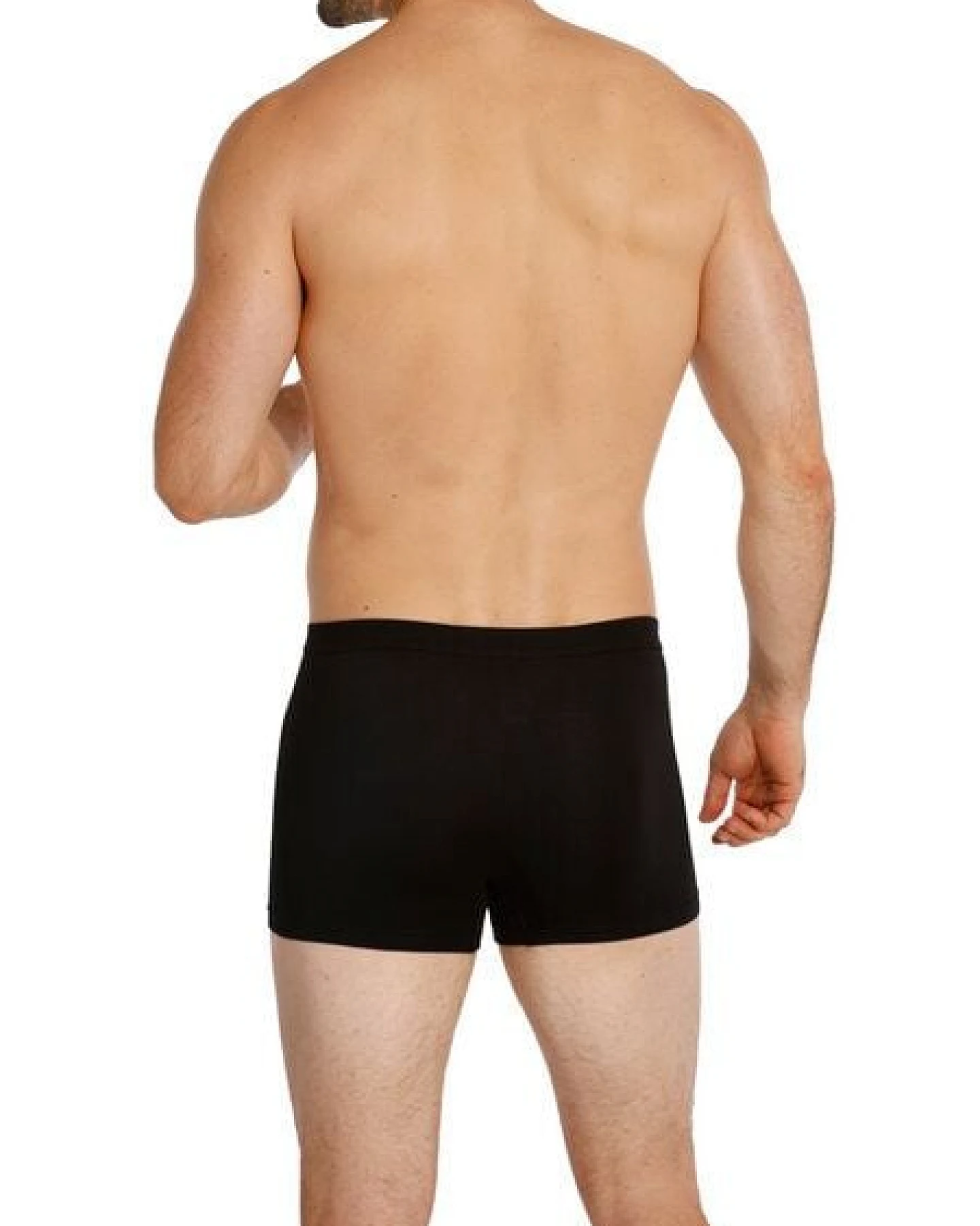Haasis Bodywear Herren Pants, ohne Eingriff, Weichgummibund, 3er Pack, Bio Baumwolle/Elasthan, GOTS zertifiziert – Ansicht 2