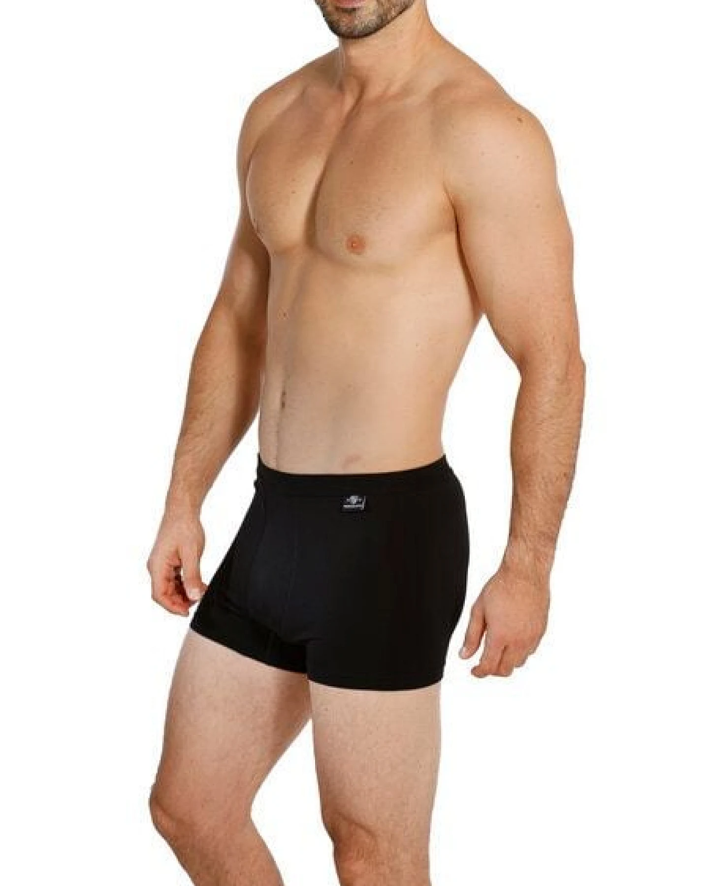 Haasis Bodywear Herren Pants, ohne Eingriff, Weichgummibund, 3er Pack, Bio Baumwolle/Elasthan, GOTS zertifiziert – Ansicht 4