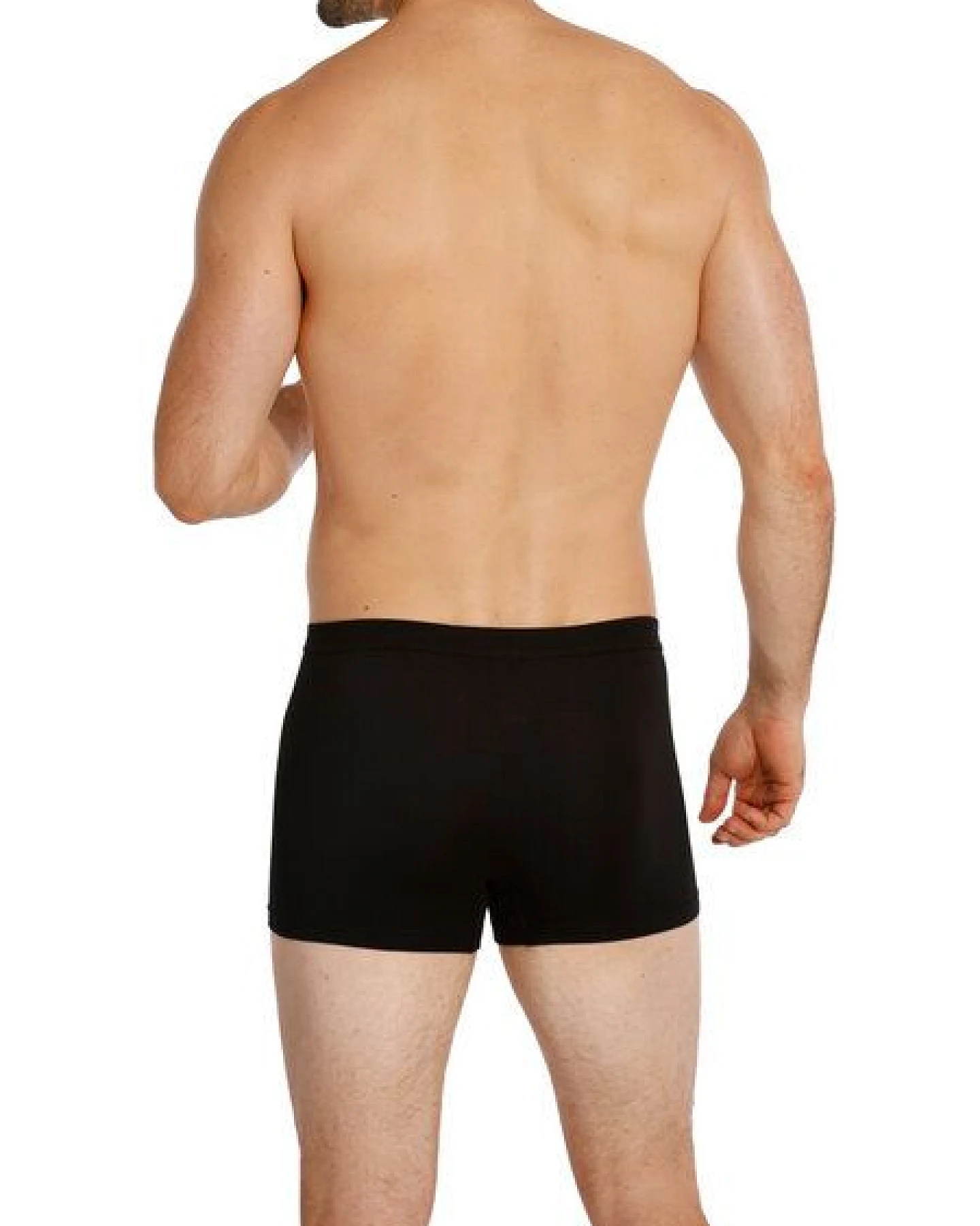 Haasis Bodywear Herren Pants, ohne Eingriff, Weichgummibund, 3er Pack, Bio Baumwolle/Elasthan, GOTS zertifiziert – Ansicht 2