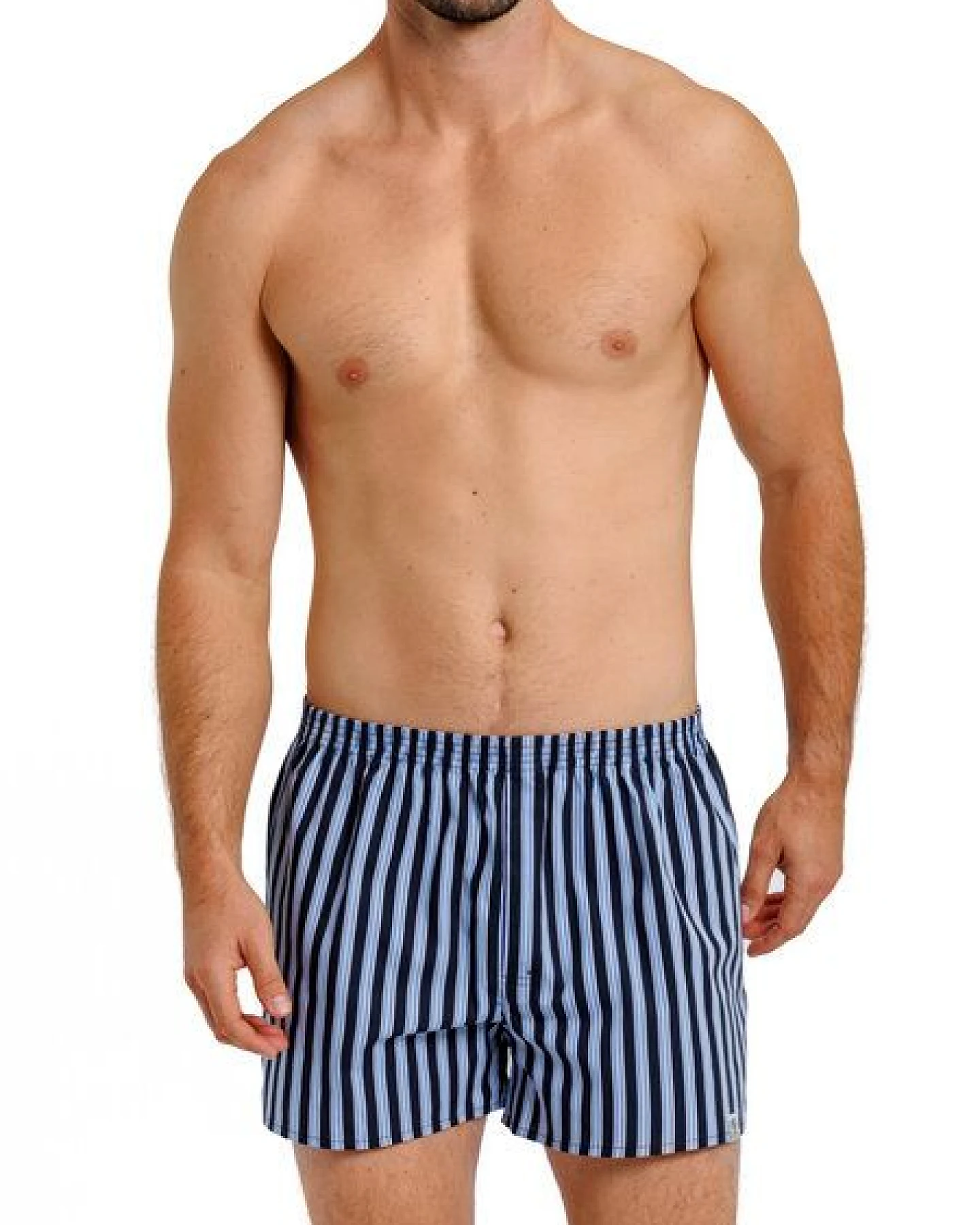 Haasis Bodywear Herren Web-Boxer Streifen, verdeckte Knopfleiste, 2er Pack – Ansicht 3