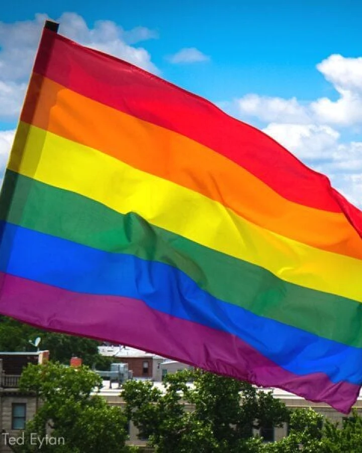 roots of compassion Fahne Pride - Regenbogenfahne, Flagge, LGBTQA, queer