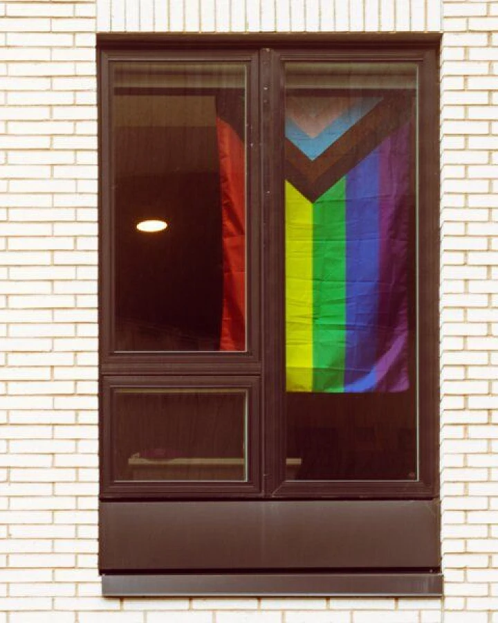 roots of compassion Fahne Progress Pride - Regenbogenfahne, Flagge, LGBTQA, queer
