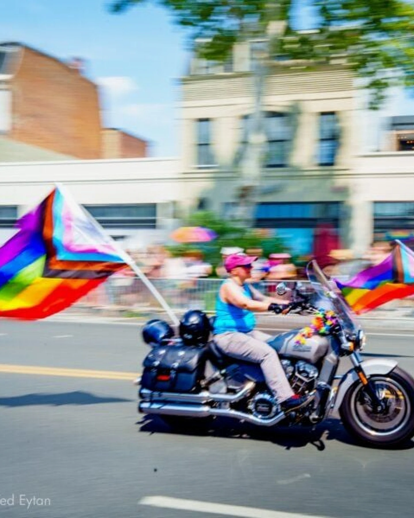 roots of compassion Fahne Progress Pride - Regenbogenfahne, Flagge, LGBTQA, queer – Ansicht 2