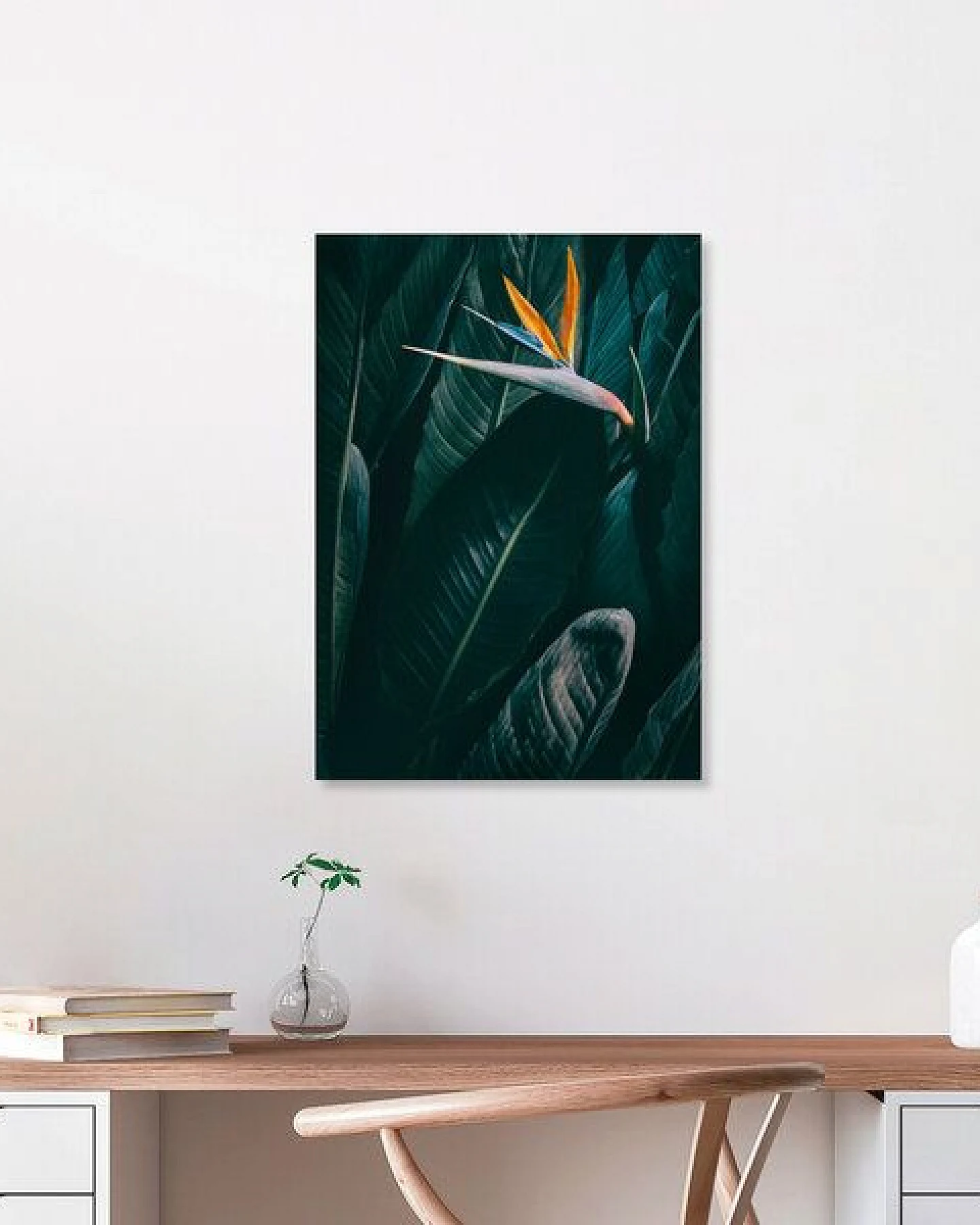 Photocircle Poster / Leinwandbild - Bird of paradise – Ansicht 2