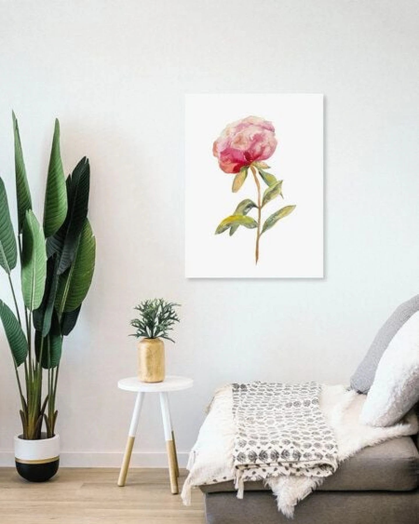 Photocircle Poster / Leinwandbild - Pfingstrose – Ansicht 4