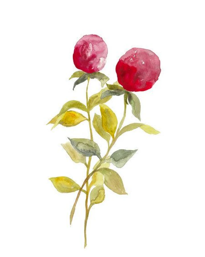 Photocircle Poster / Leinwandbild - Pinke Beeren