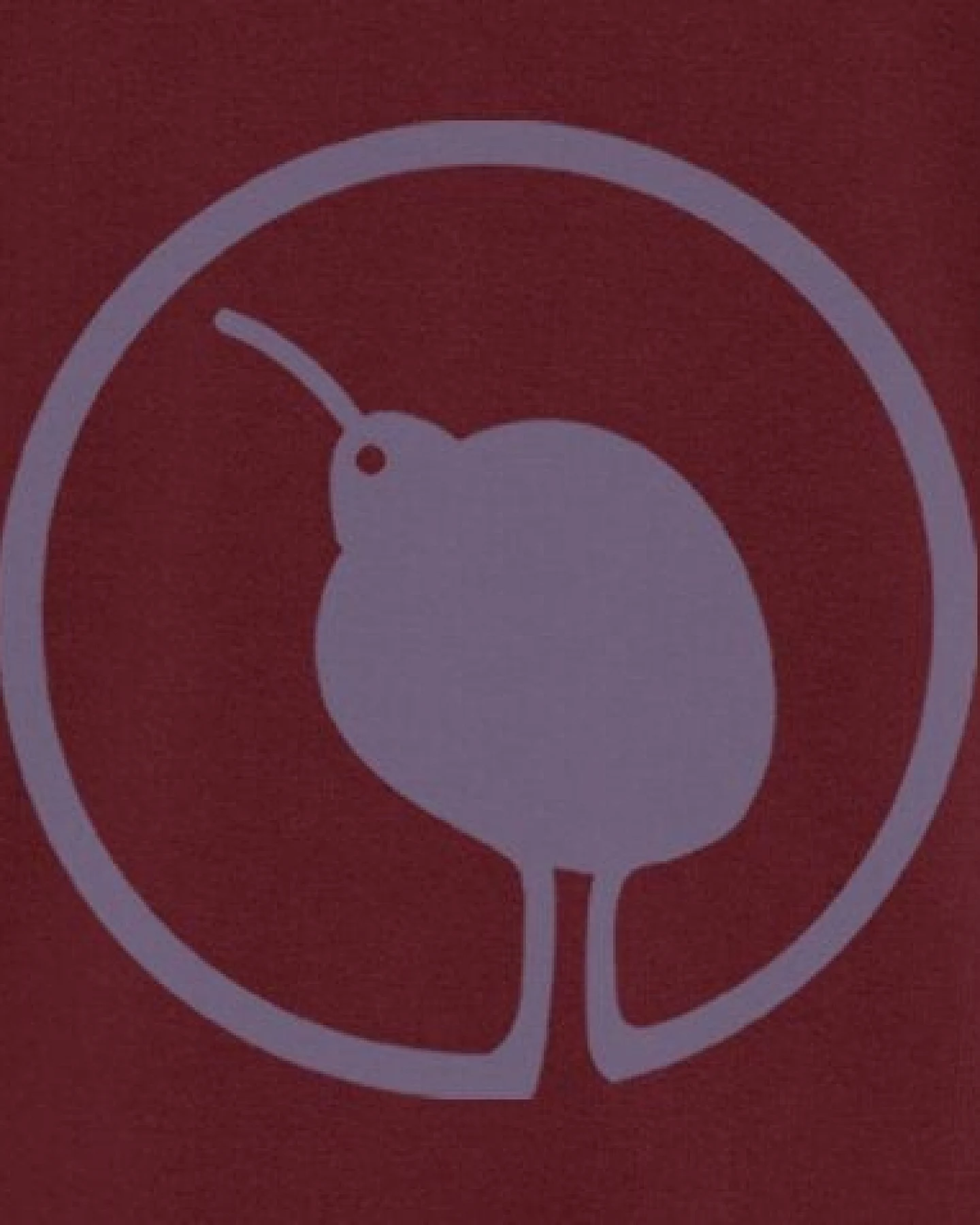 Herren Hoodie, "little kiwi", Burgundy – Ansicht 2