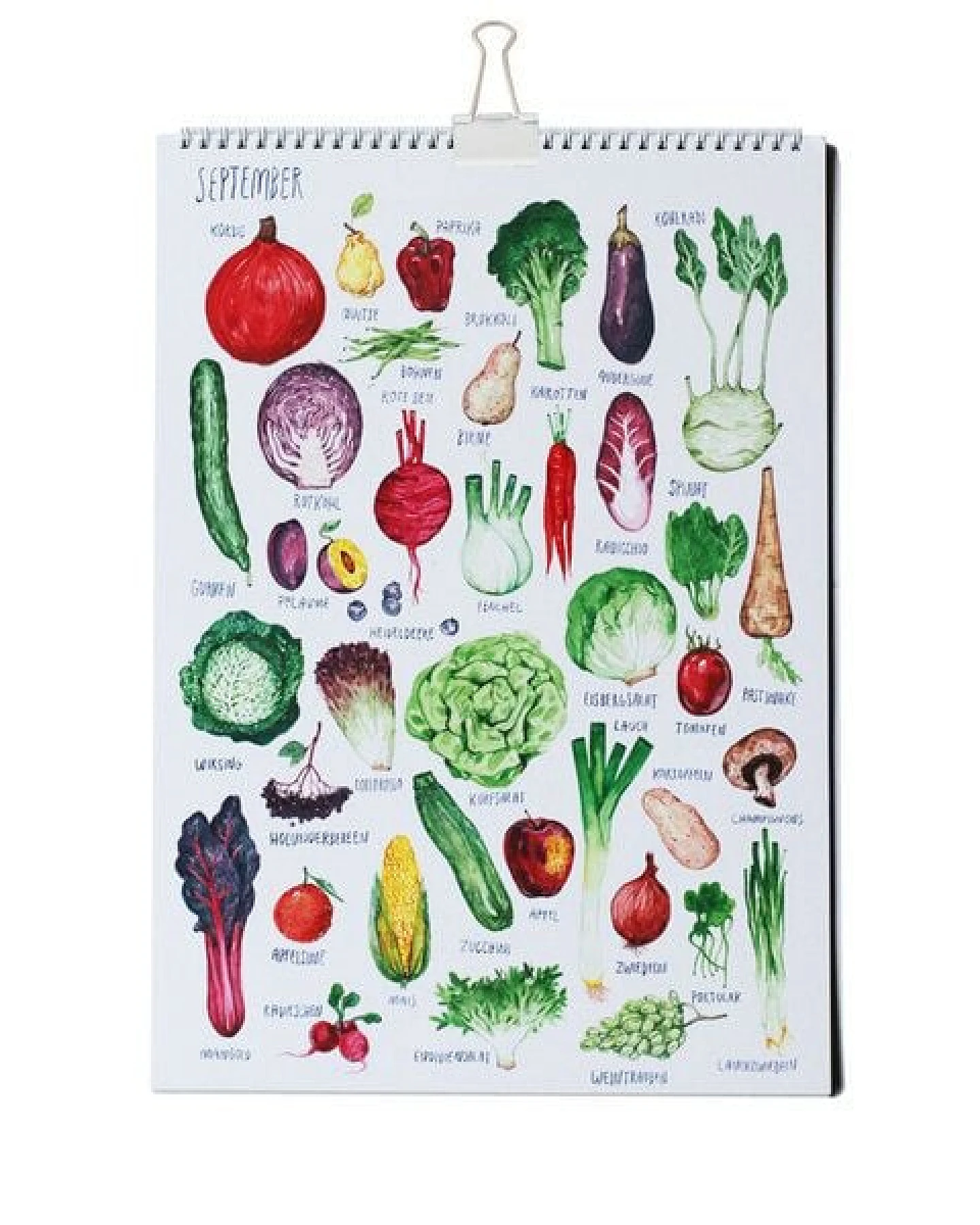 roots of compassion Saisonkalender von Pia Kraftfutter - 100 % Öko - saisonal, Obst, Gemüse, bio, Geschenk – Ansicht 3