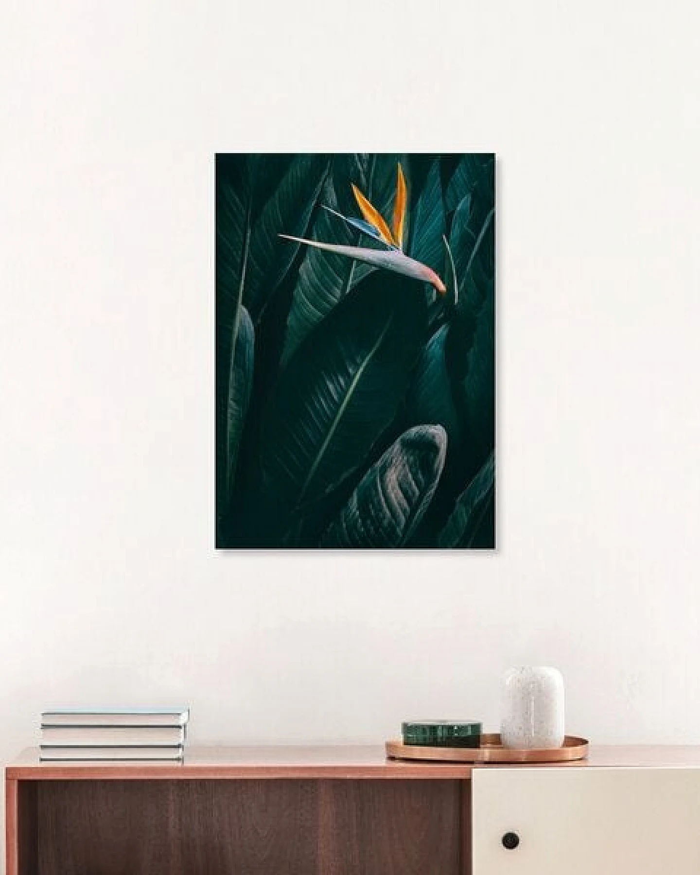 Photocircle Poster / Leinwandbild - Bird of paradise – Ansicht 4