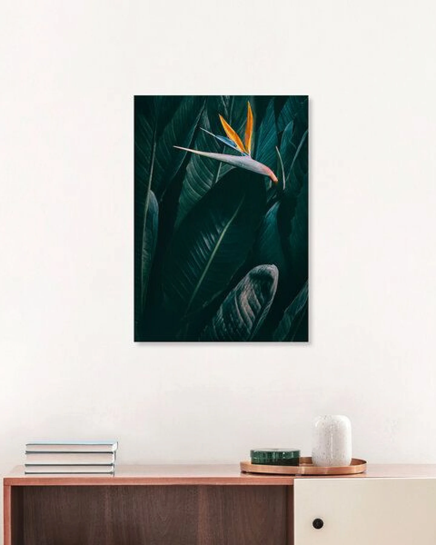 Photocircle Poster / Leinwandbild - Bird of paradise – Ansicht 4