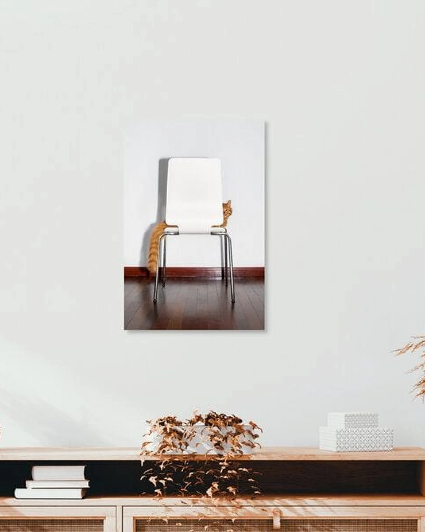 Photocircle Poster / Leinwandbild - Chair Cat – Ansicht 3