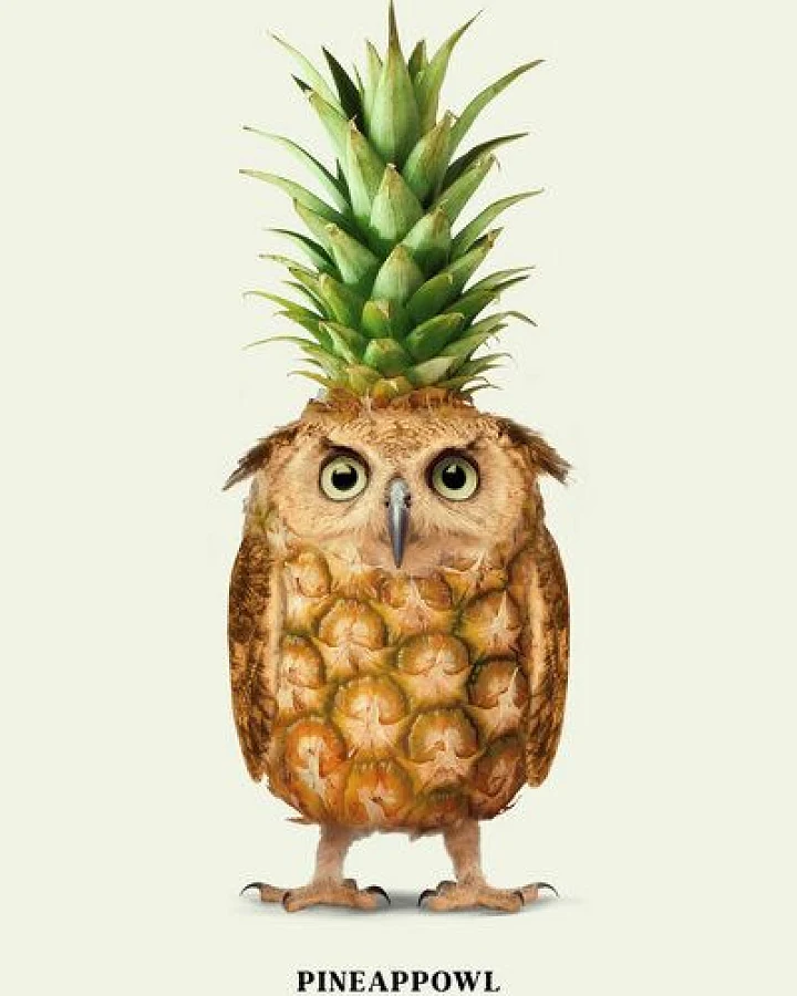 Photocircle Wandbild / Kunstdruck / Poster / Leinwand - Pineappowl