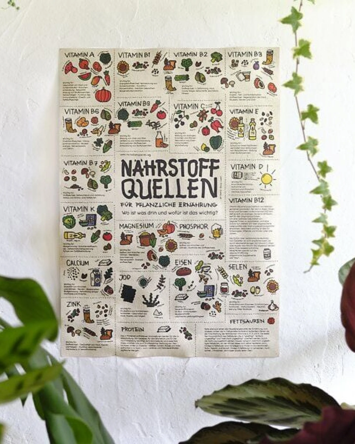 roots of compassion Poster Küche Nährstoffe von Pia Kraftfutter DIN A2 - Ernährung, Vitamine, Mineralien – Ansicht 2