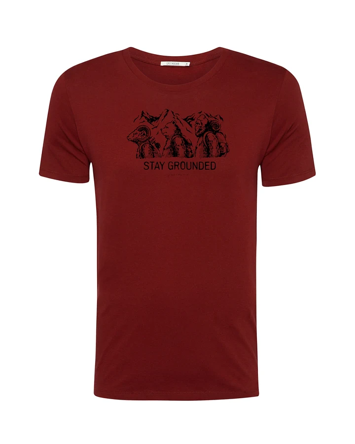 Produktseite: GREENBOMB T-Shirt Animal Stay Grounded