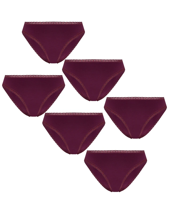 Albero Natur Damen vegan Multipack 6x Slips Mit Spitze Aubergine