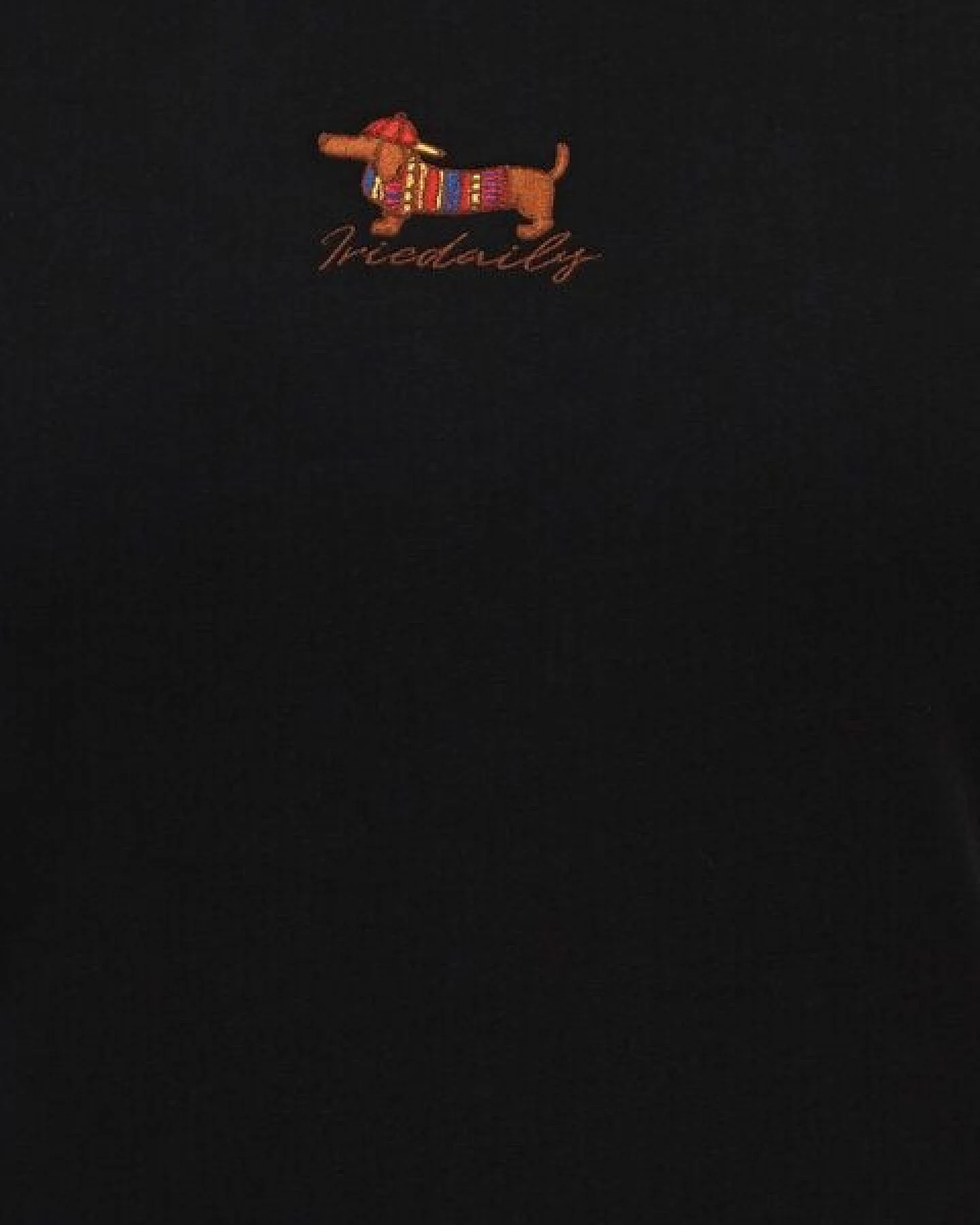 Iriedaily Dacksi Tee – Ansicht 3