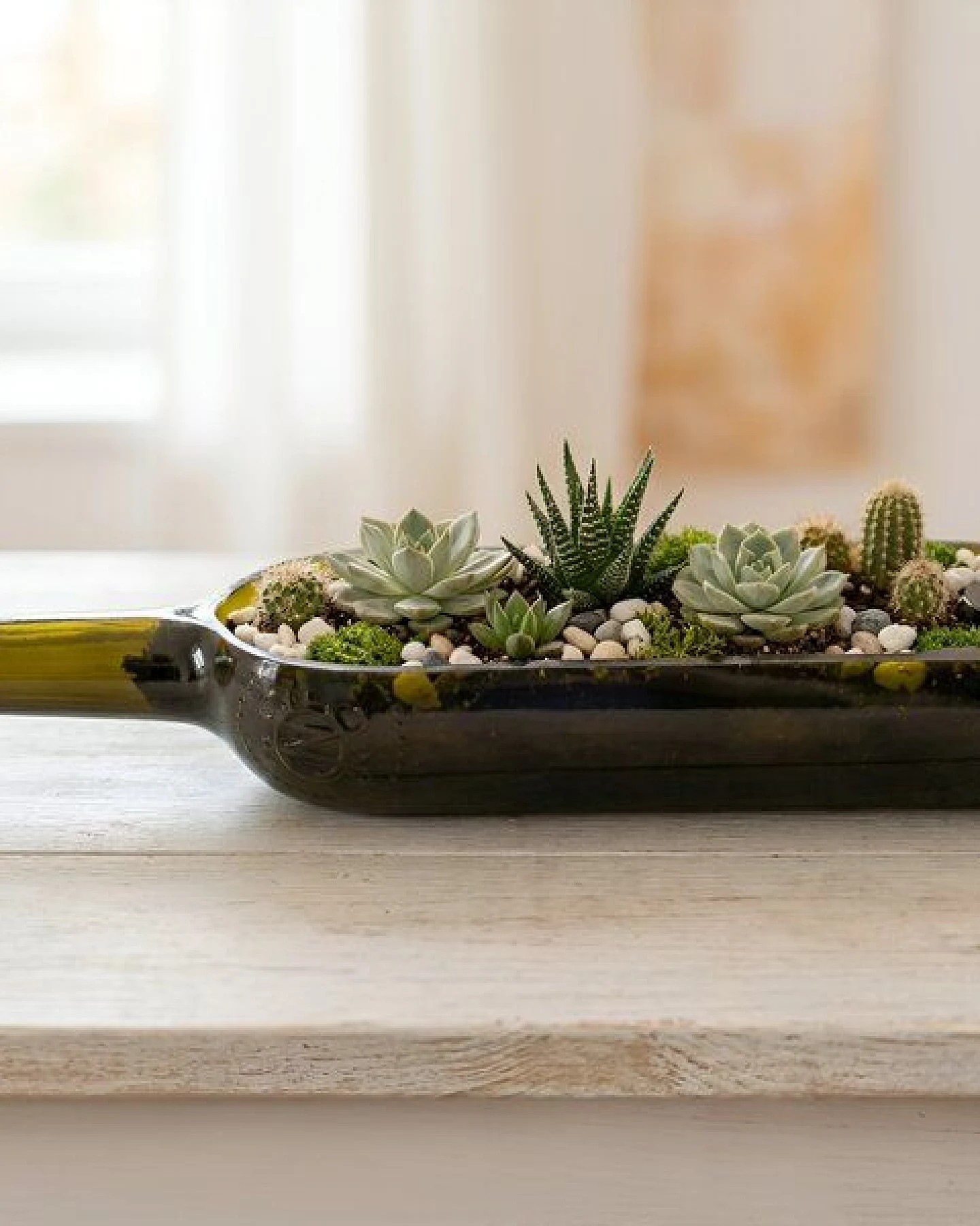 Upglassic Upcycling-Planter – Ansicht 2