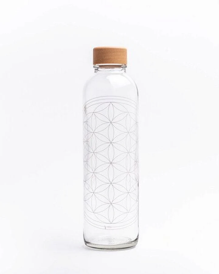 Carry Bottles Glastrinkflasche 0.7l verschiedene Designs