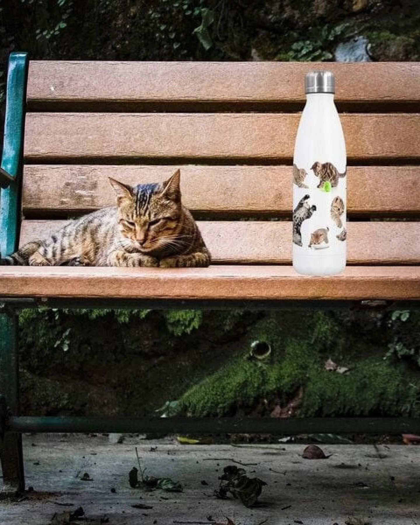 Dora's Dora’s Edelstahl-Thermoflasche "Katze" (500ml) – Doppelwandig – Ansicht 2