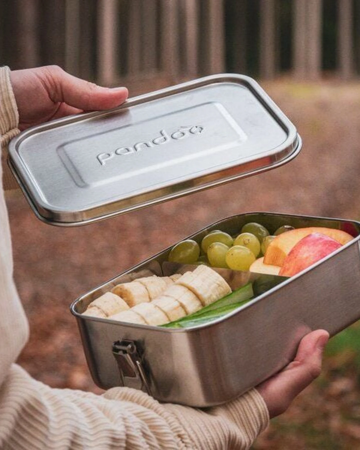 pandoo Lunchbox aus Edelstahl – Ansicht 3