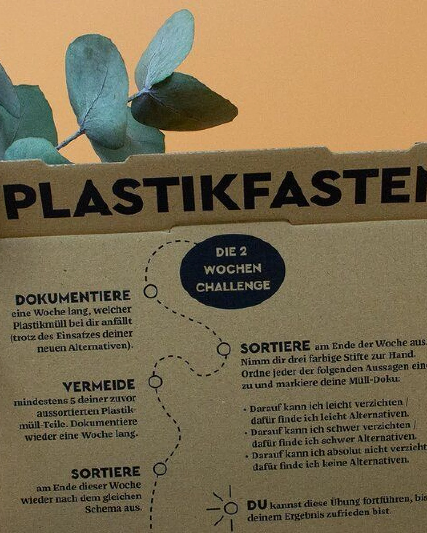 umtüten Plastikfasten Box / Starterpaket / nachhaltige Geschenkbox – Ansicht 3