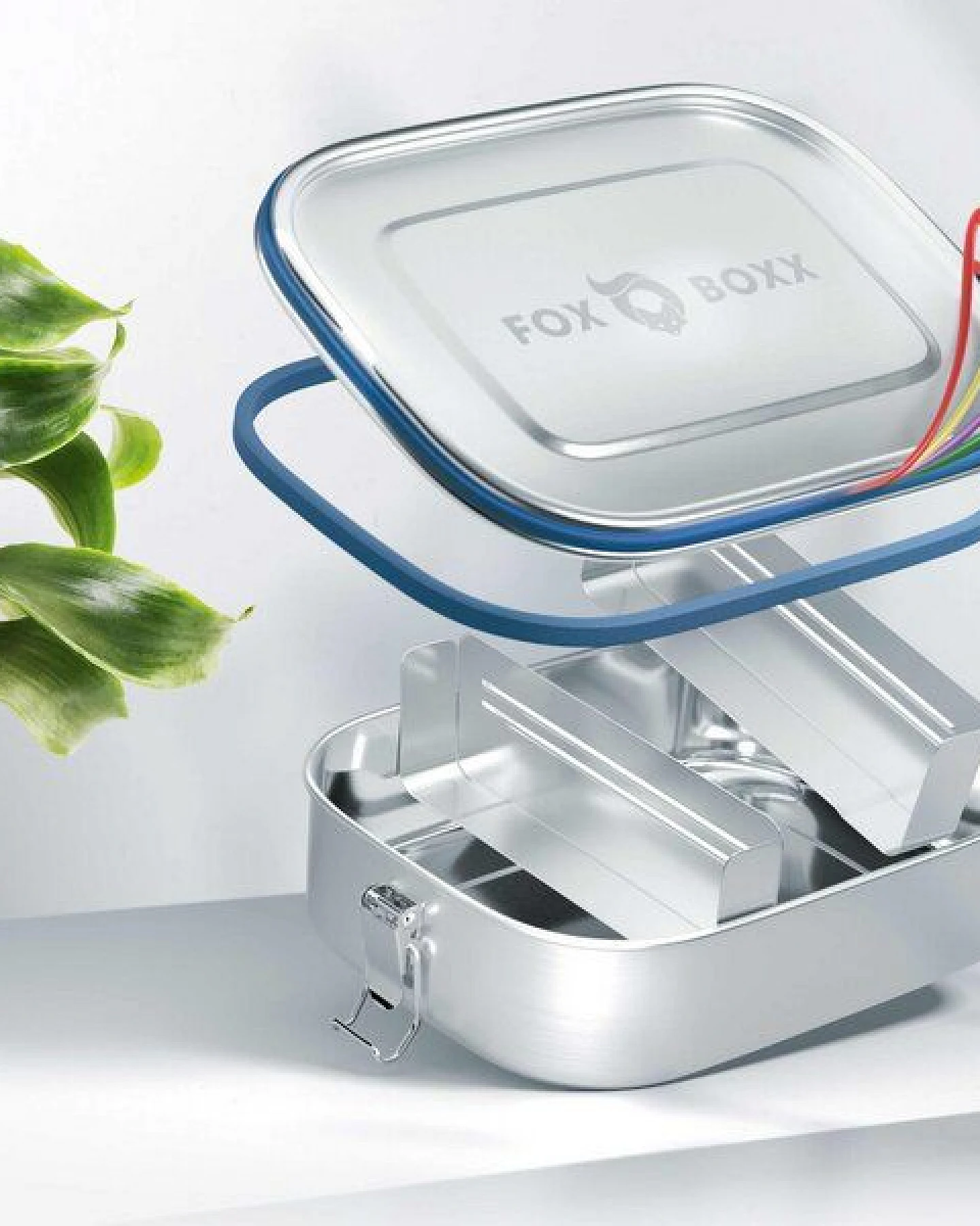 ÖKO Edelstahl Brotdose FOXBOXX 2 Trenner – Ansicht 3