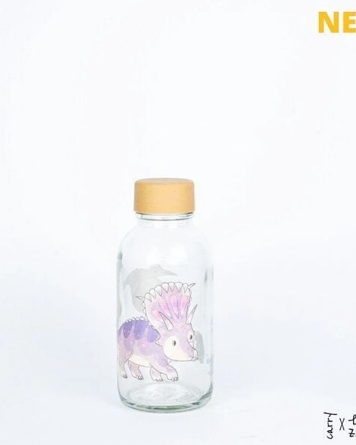 Carry Bottles Glastrinkflasche 0.4l verschiedene Designs