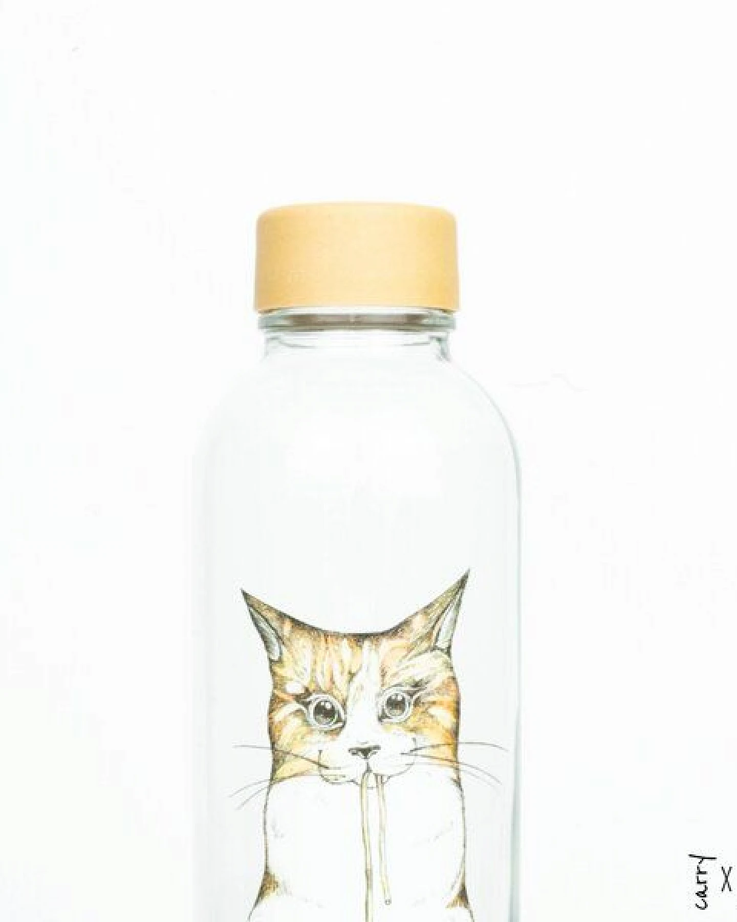 Carry Bottles Glastrinkflasche 0.7l verschiedene Designs – Ansicht 2