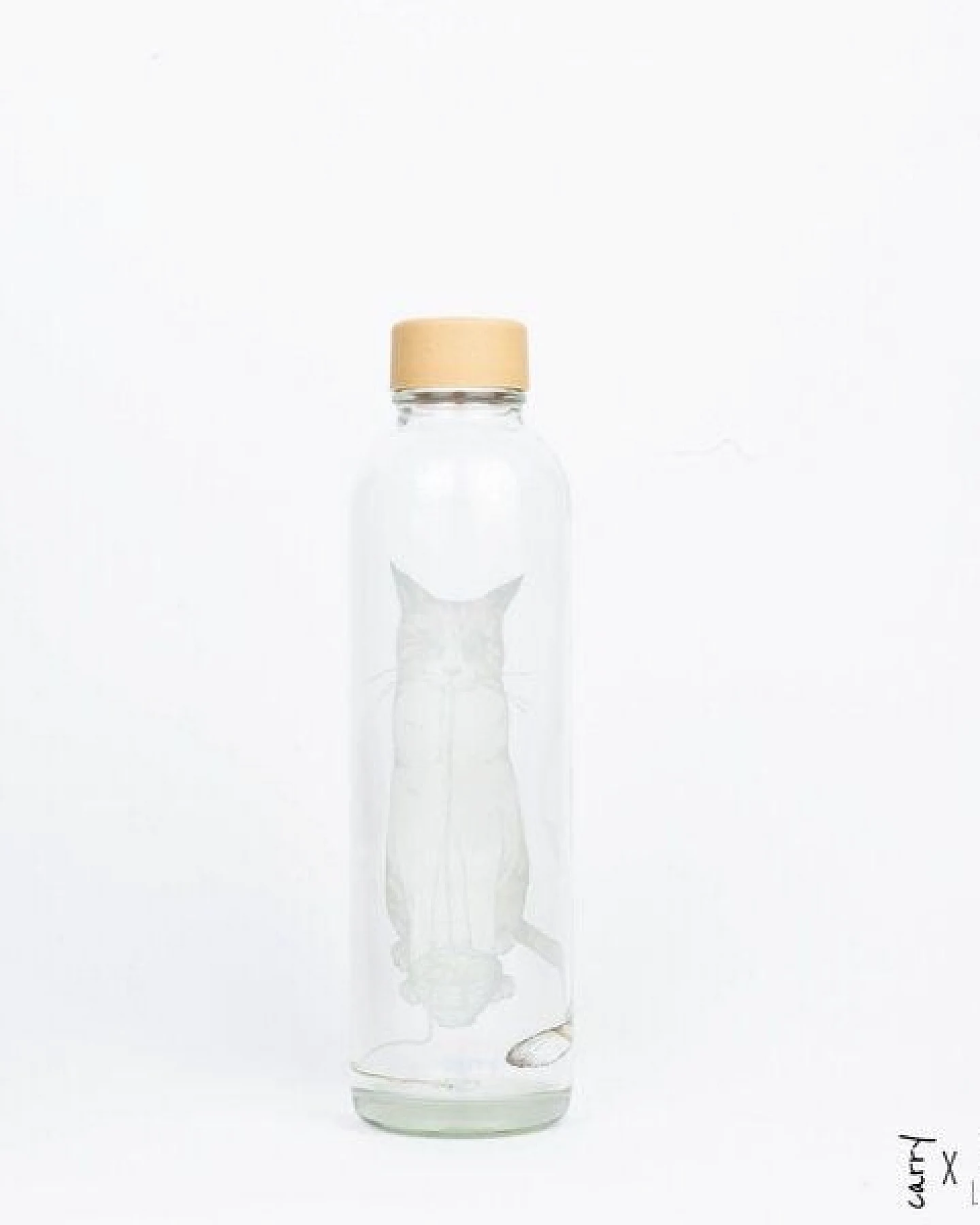 Carry Bottles Glastrinkflasche 0.7l verschiedene Designs – Ansicht 4