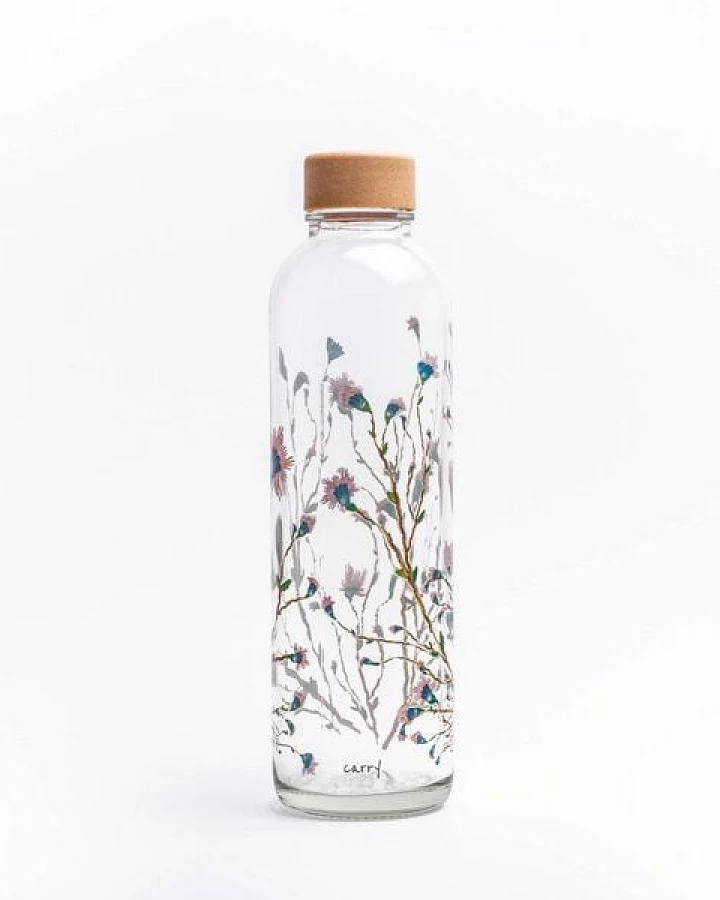 Hanami