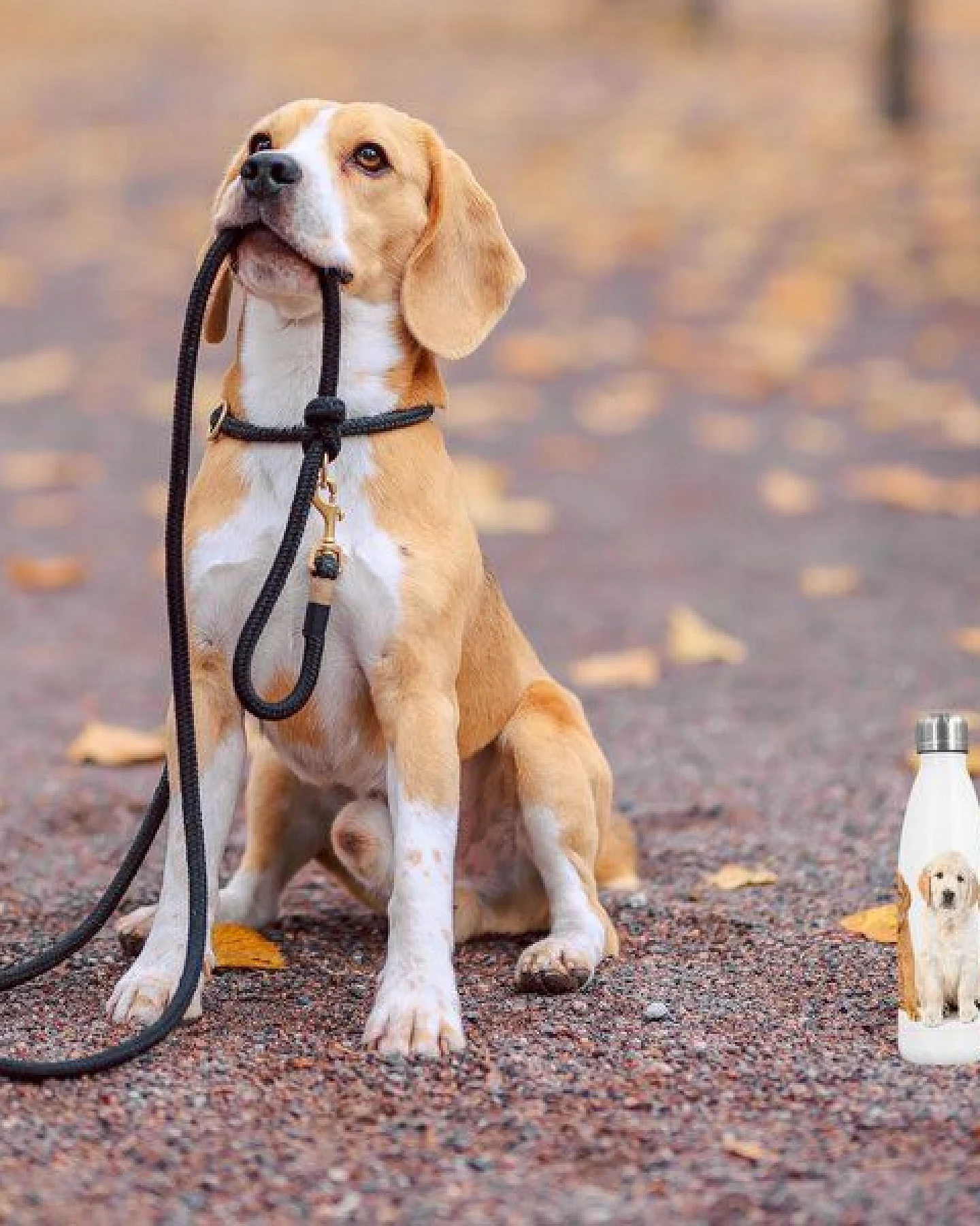 Dora's Dora’s Edelstahl-Thermoflasche "Hund" (500ml) – Doppelwandig – Ansicht 2