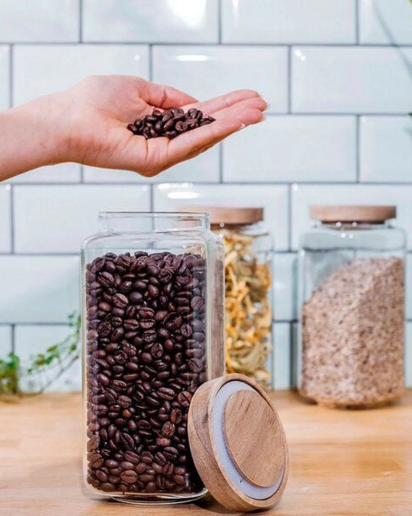 Econovo Große Vorratsgläser mit Holzdeckel – Ansicht 3
