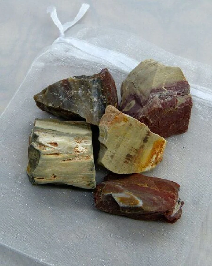 OneWorldMinerals Versteinertes Holz Wassersteine - quintESSENCE Wassersteine