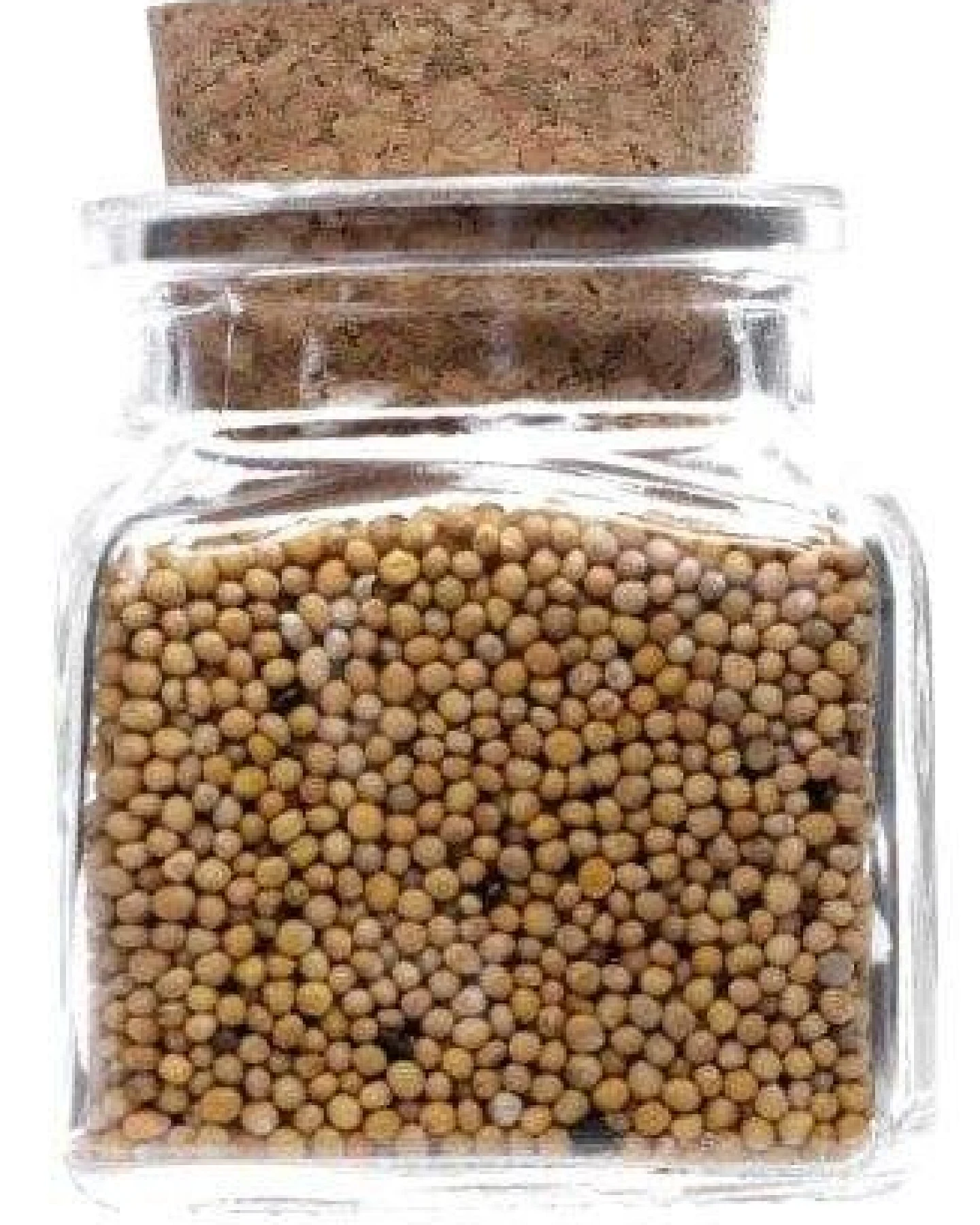 mikken 12 Gewürzgläser eckig 120 ml Korkengläser mit Gewürzetiketten - Gewürzdosen aus Glas – Ansicht 3