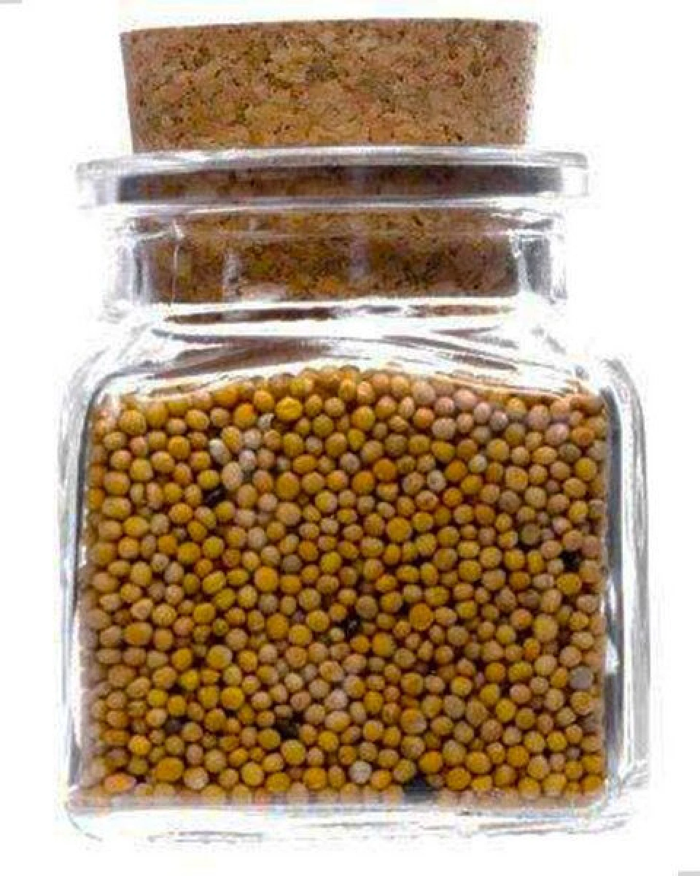 mikken Gewürzglas mit Korken 50 - 200 ml eckig - Korkenglas Gewürzdose Kräuterdose – Ansicht 3