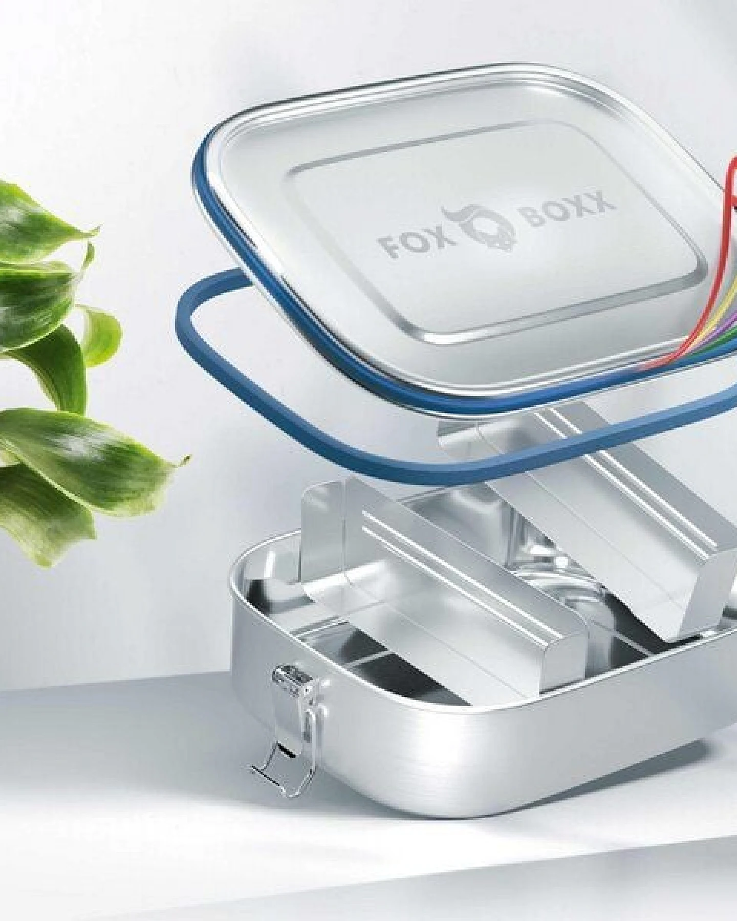 ÖKO Edelstahl Brotdose FOXBOXX 2 Trenner – Ansicht 3