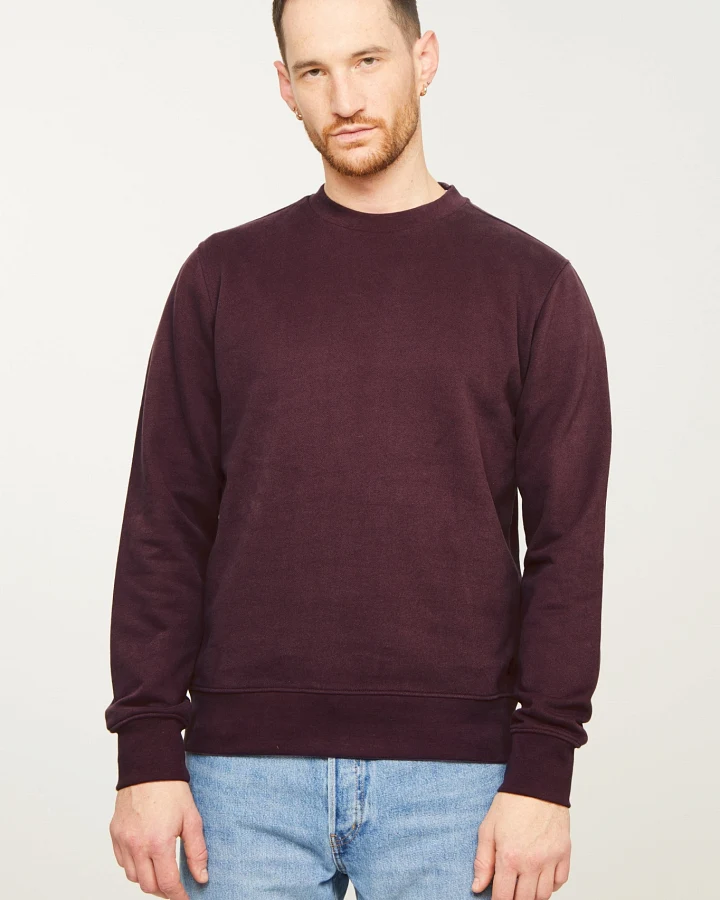 Recolution Herren vegan Sweatshirt Tamarillo Dunkle Pflaume