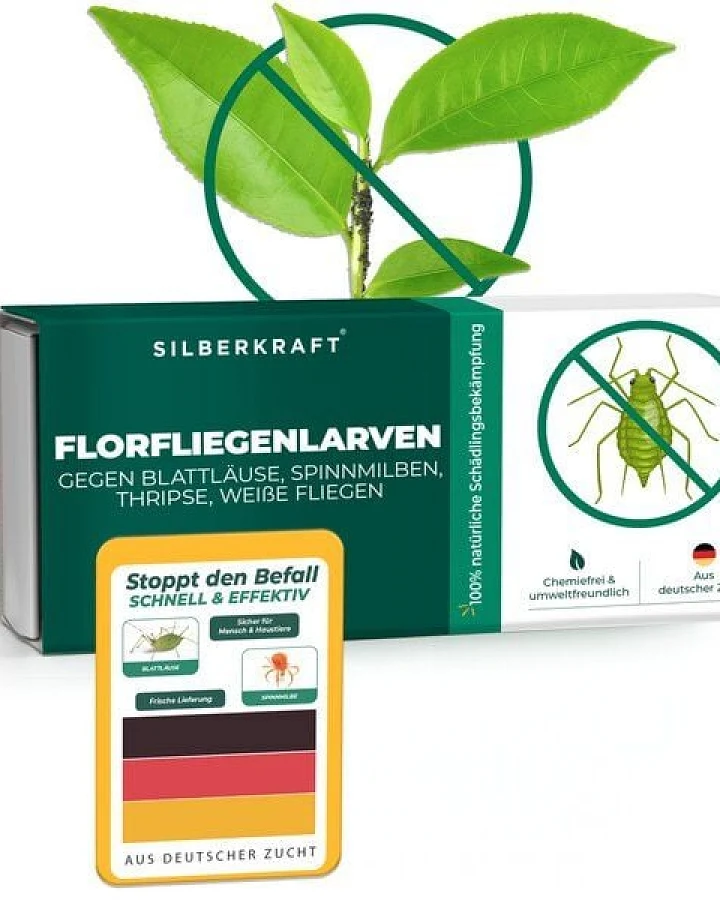 Silberkraft Florfliegenlarven gegen Blattläuse, Woll- & Schmierläuse, Spinnmilben, Thripse & weiße Fliegen