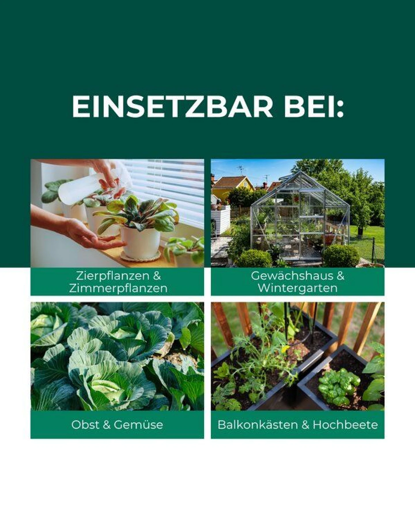 Silberkraft Florfliegenlarven gegen Blattläuse, Woll- & Schmierläuse, Spinnmilben, Thripse & weiße Fliegen – Ansicht 4