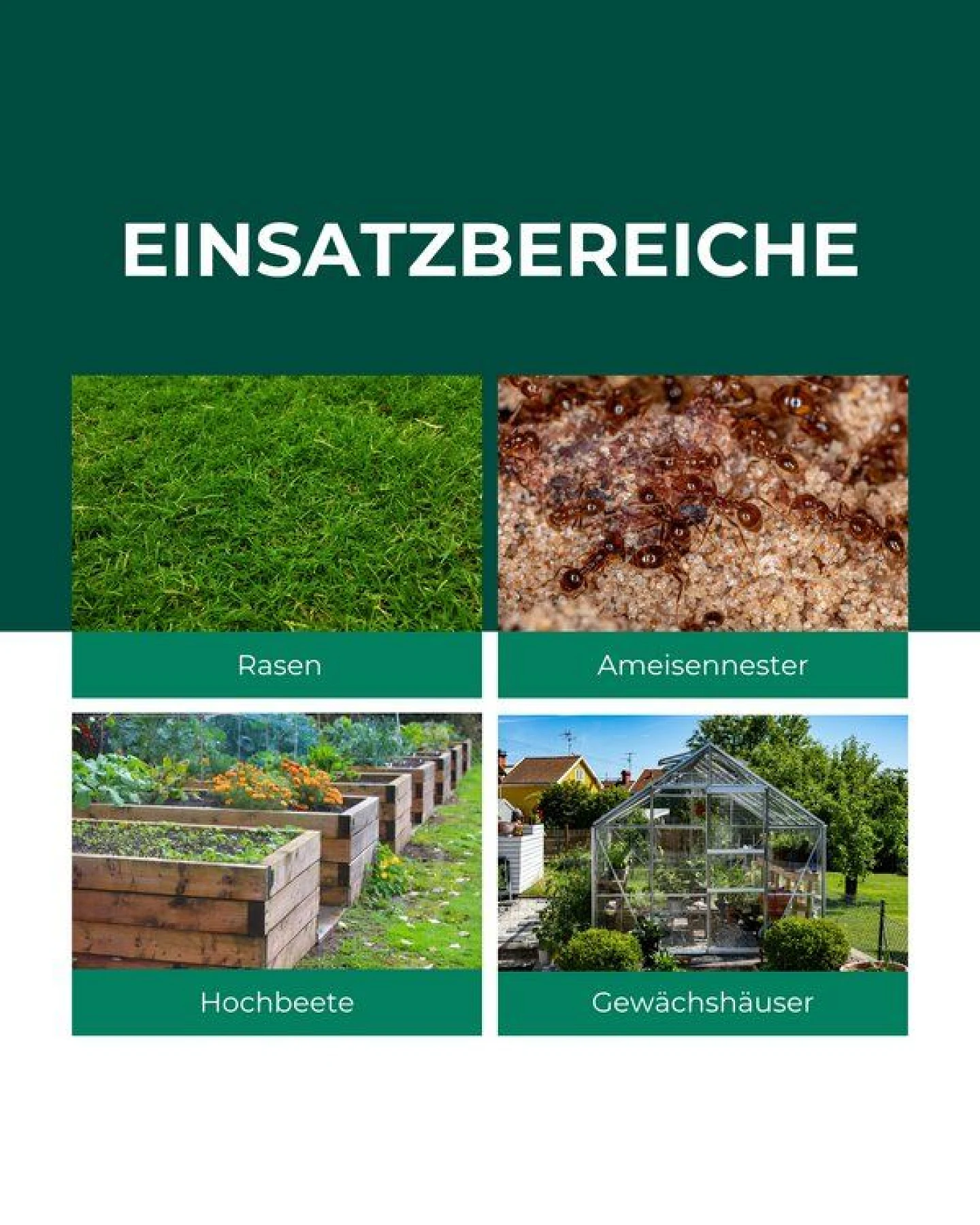 Silberkraft SF Nematoden gegen Ameisen – Ansicht 3