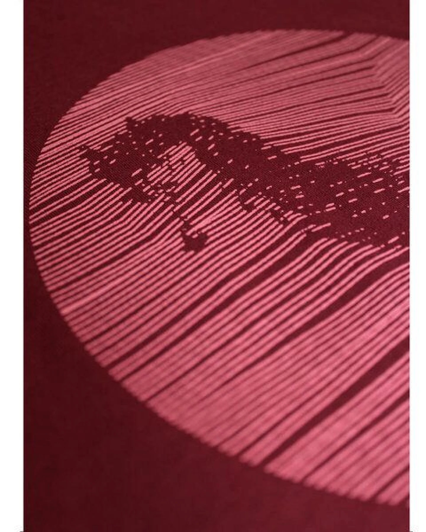 Damen T-Shirt Rundhals aus Bio-Baumwolle "Hippocampus" Rot von Fädd – Ansicht 3