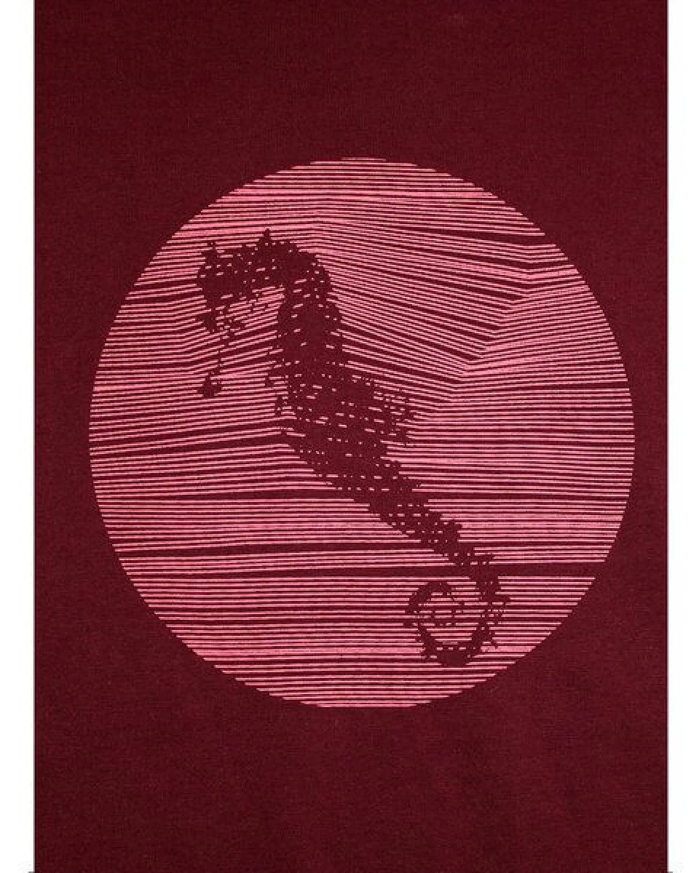 Damen T-Shirt Rundhals aus Bio-Baumwolle "Hippocampus" Rot von Fädd – Ansicht 4