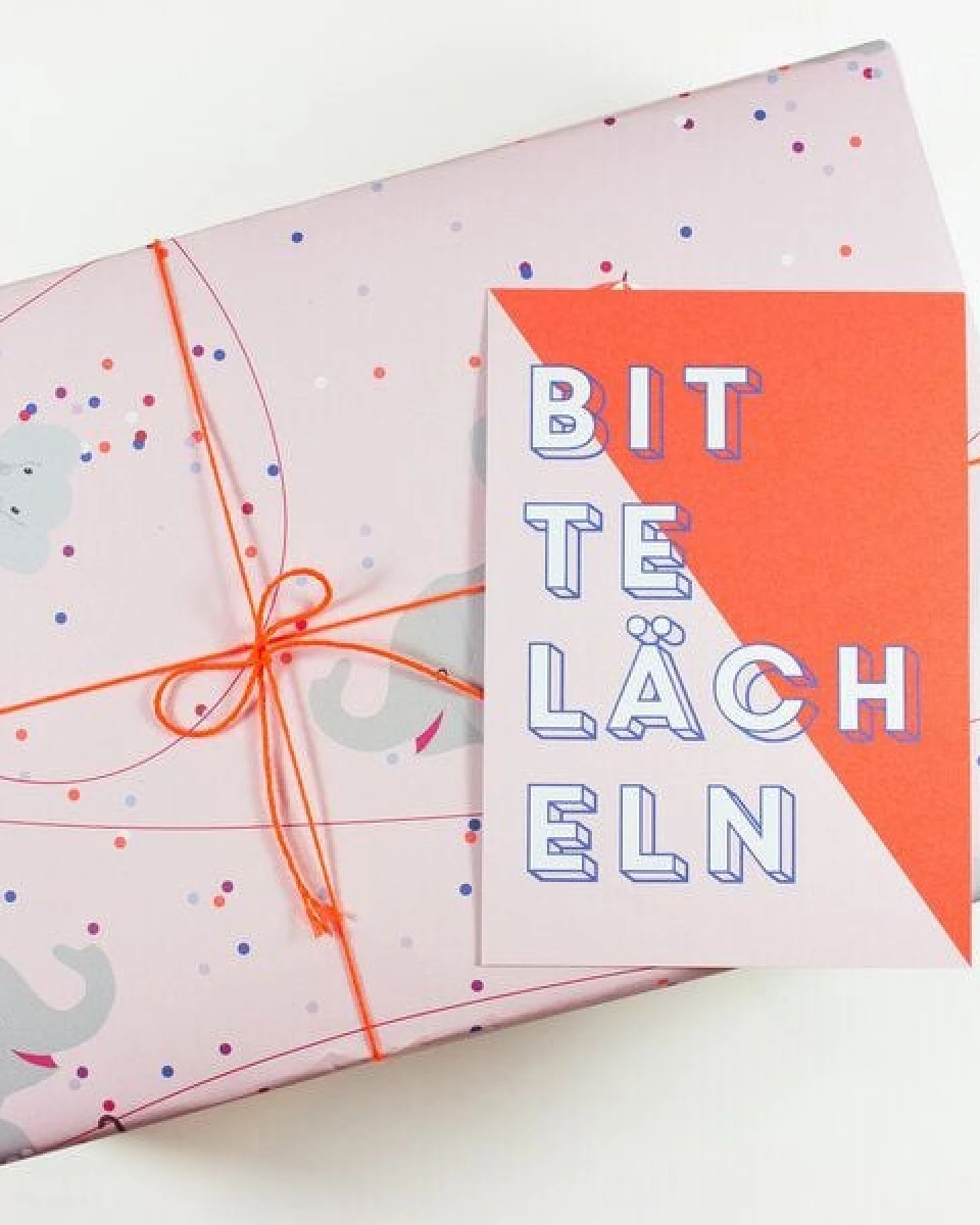 Bow & Hummingbird Postkarte Bitte lächeln – Ansicht 2