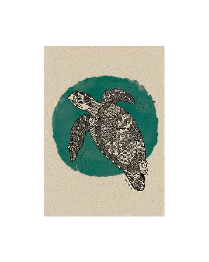 Schildkröte