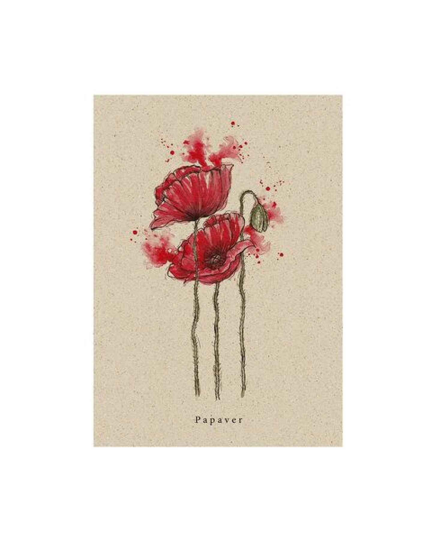 matabooks® Vintage botanische A6 Postkarte mit Blumenmotiv aus nachhaltigem Graspapier – Ansicht 2