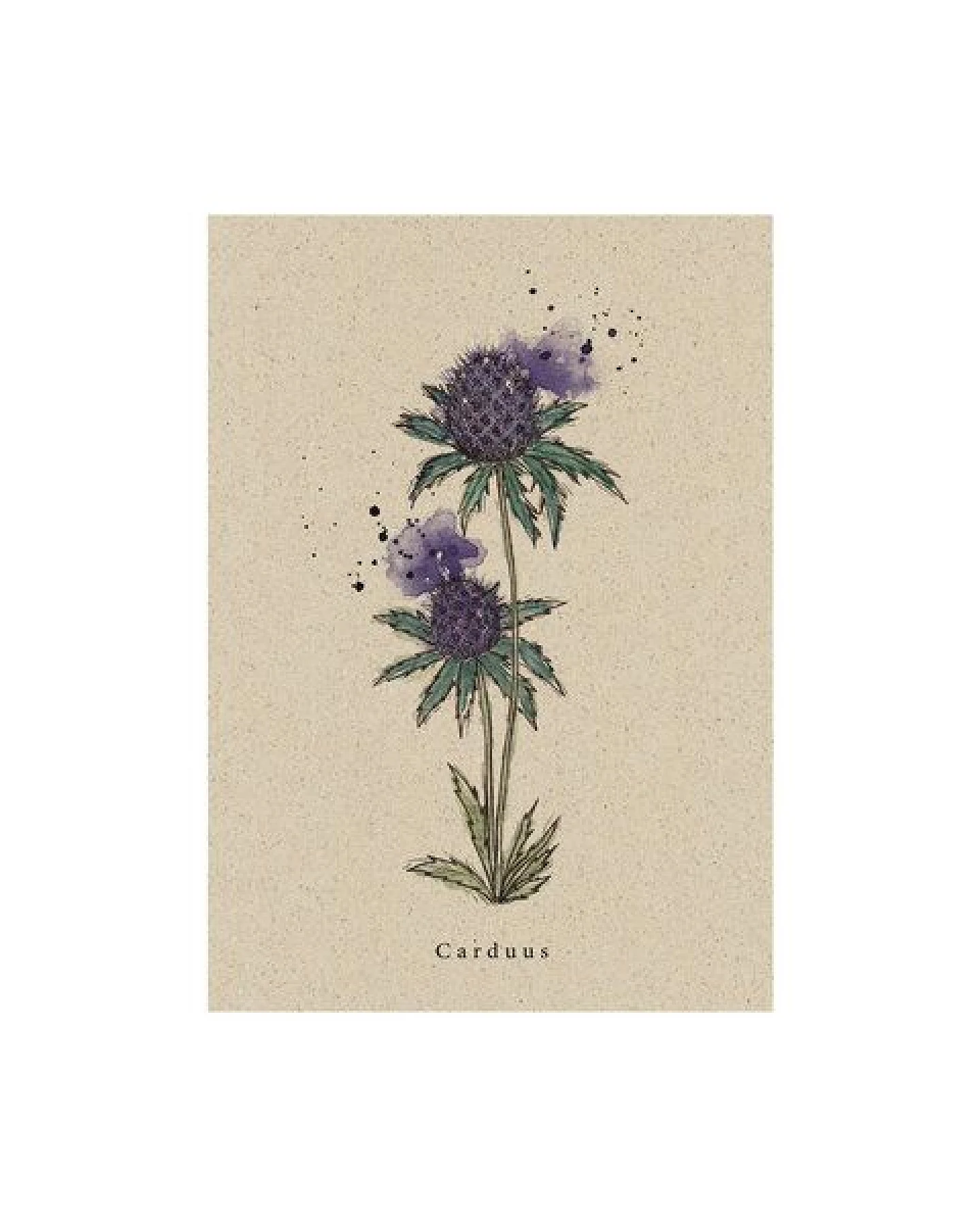 matabooks® Vintage botanische A6 Postkarte mit Blumenmotiv aus nachhaltigem Graspapier – Ansicht 4