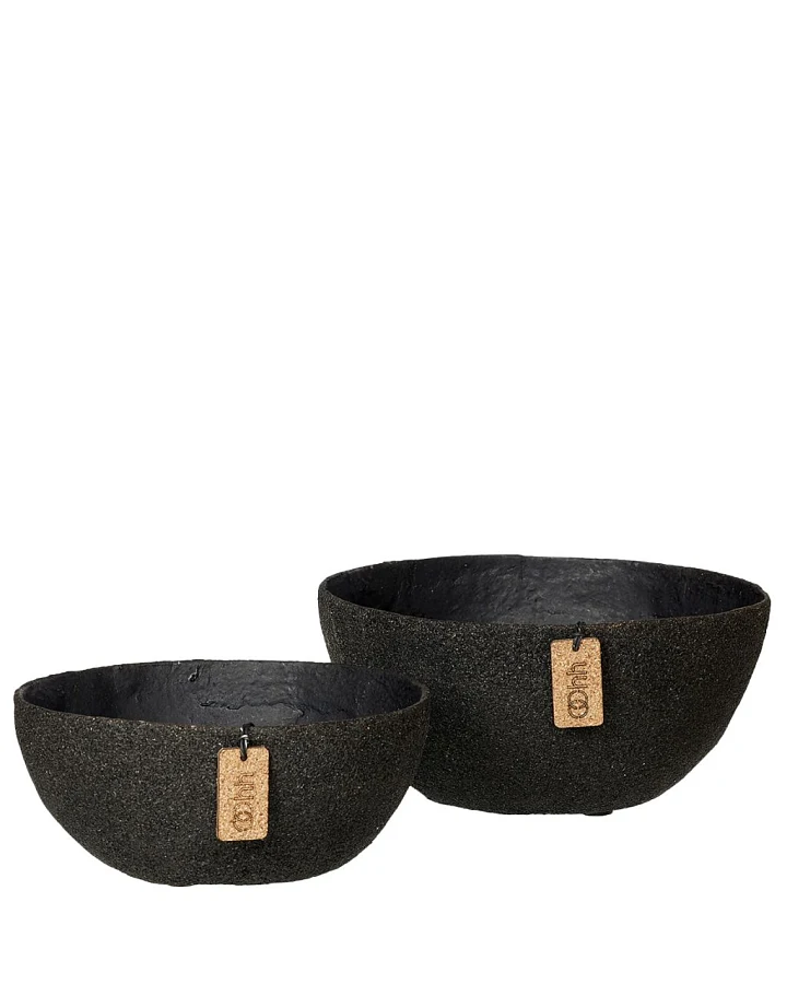Woodz Bowls 2er Set Ash