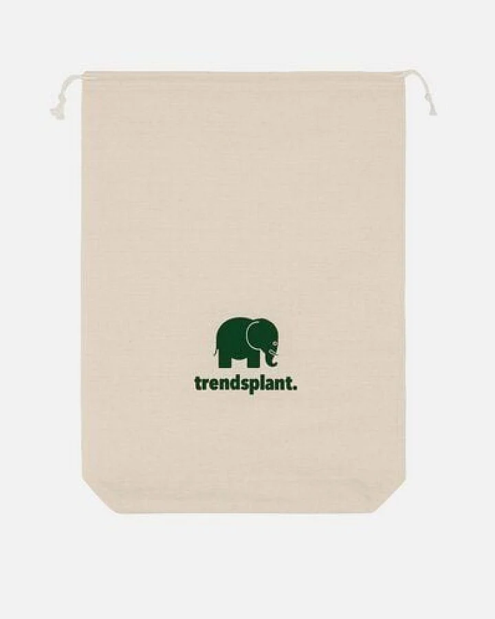 Trendsplant Cotton Gift bag Natural