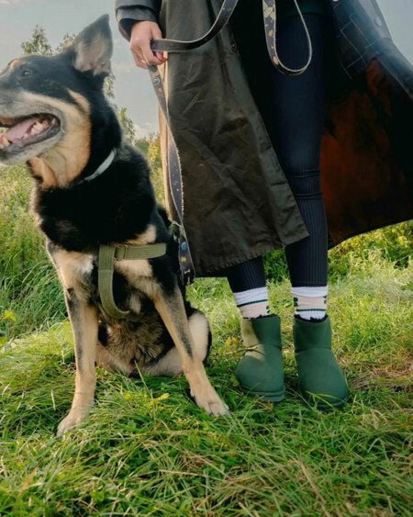 New Orchard Classic Vegan Short – Ansicht 2