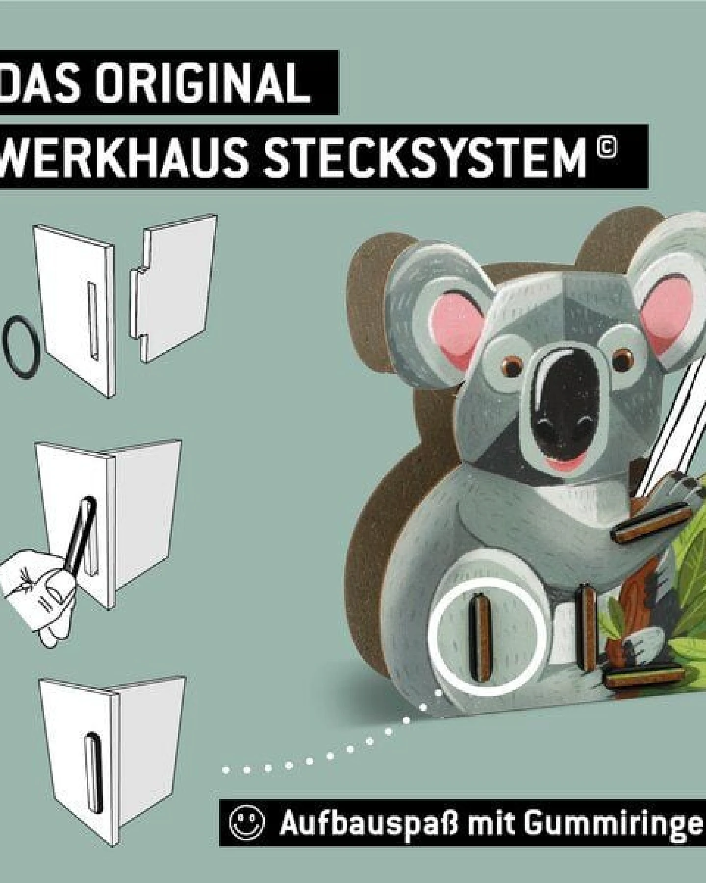WERKHAUS Stiftebuddy - Koala Kalle – Ansicht 4